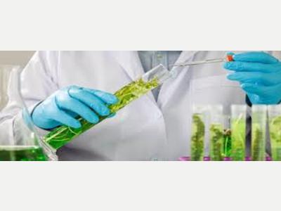  T�cnico Qu�mico � Jornada Part-Time 